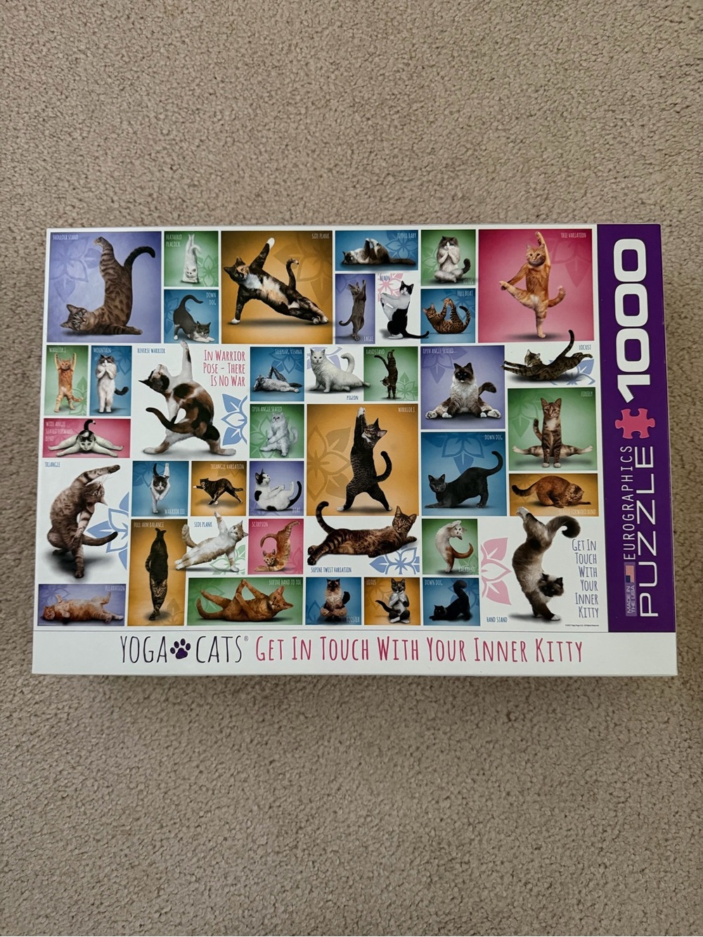 Cat Puzzle - 1000 Pieces